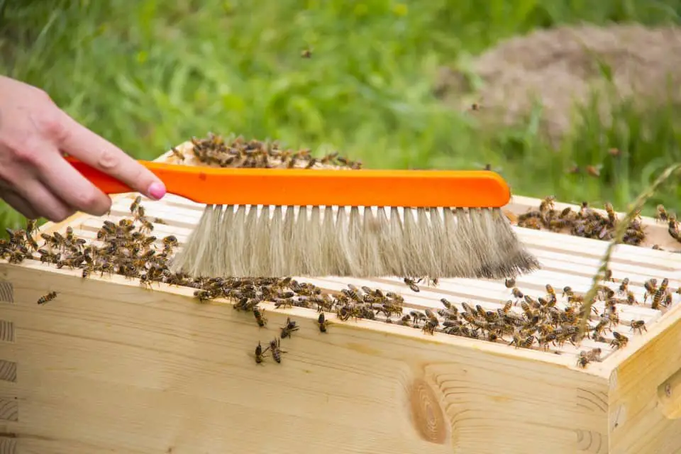 1pc Gentle Fibers Beekeepers Bee Brush HOT SAE T8D2 