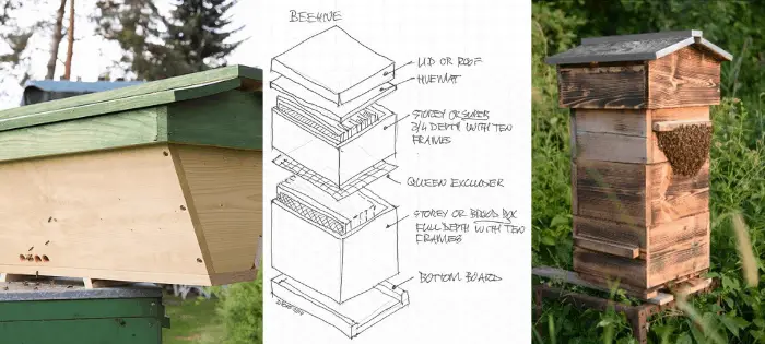 Most Popular Beehive Types Explained: Langstroth, Warre, Top-Bar 