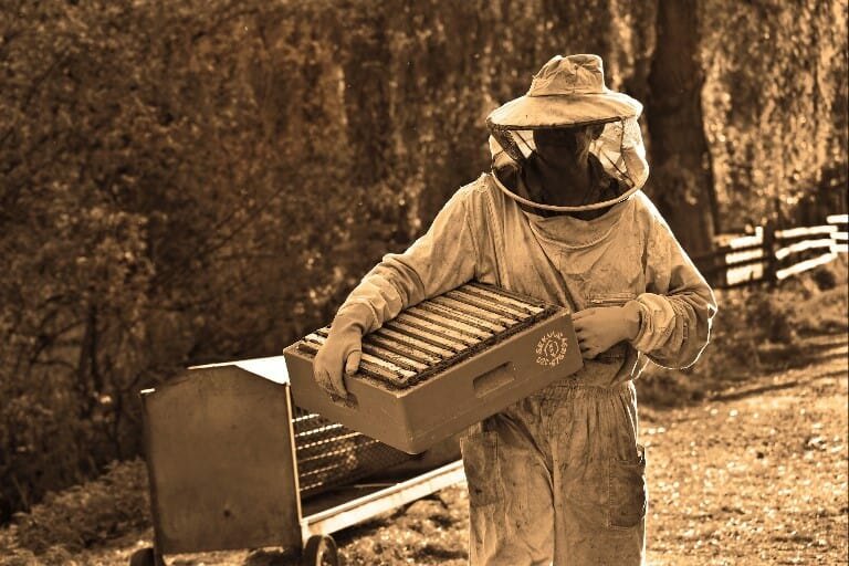Beekeeper-holding-bee-frames